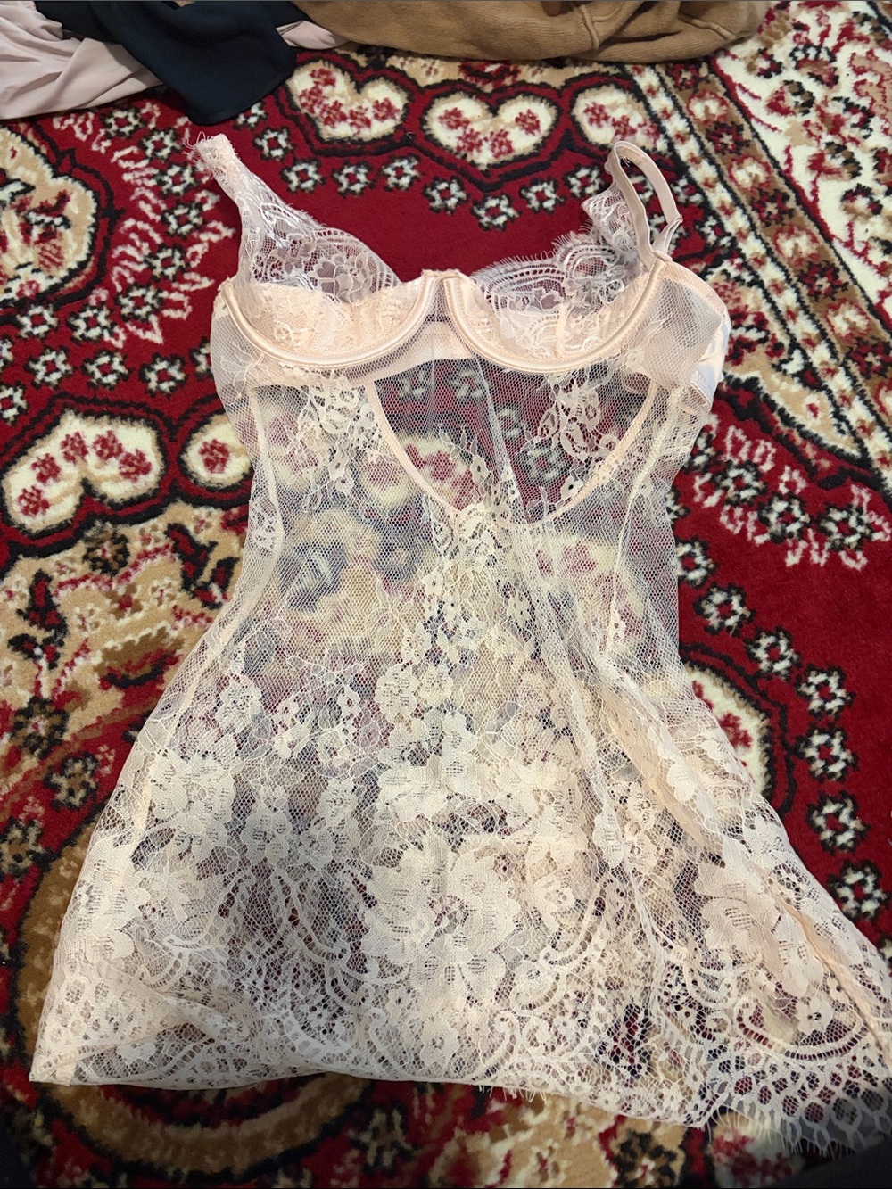 Sheer Lace Chemise in Light Blush